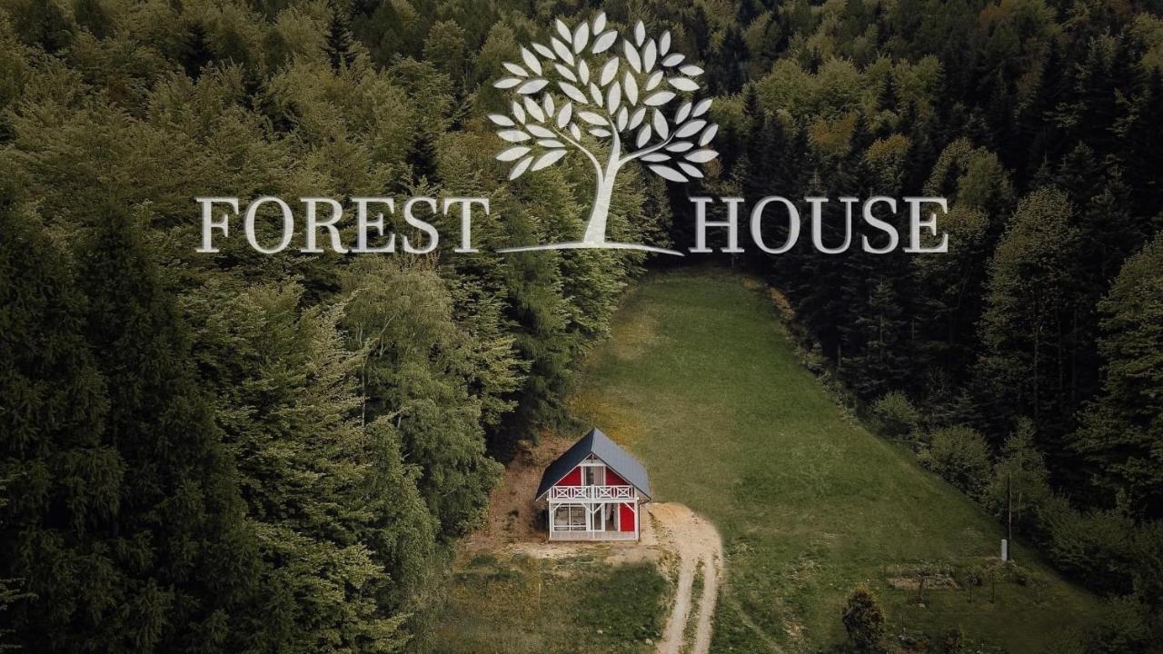 Forest House Targanice Buitenkant foto