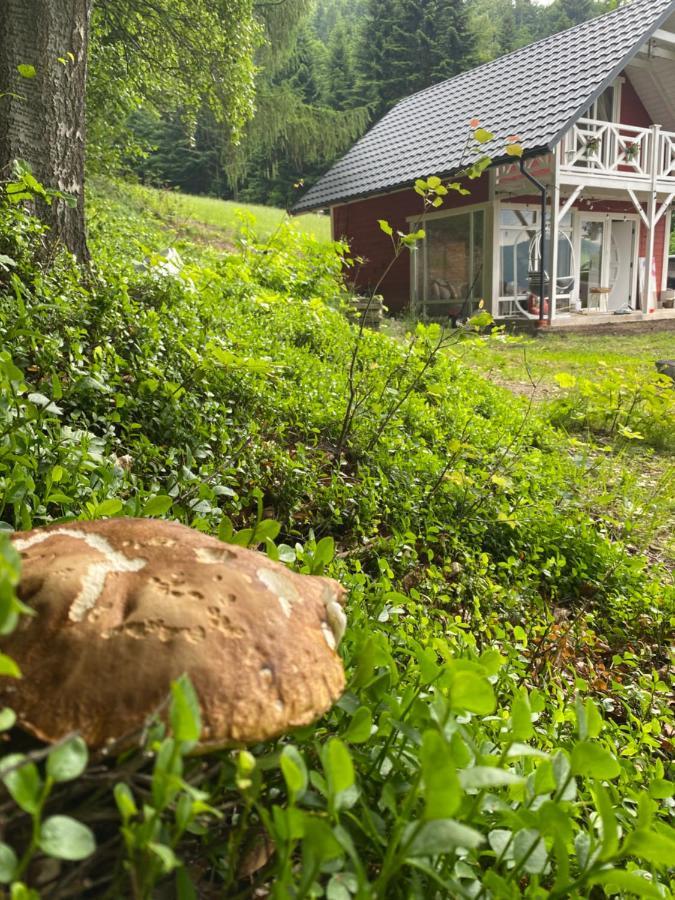 Forest House Targanice Buitenkant foto