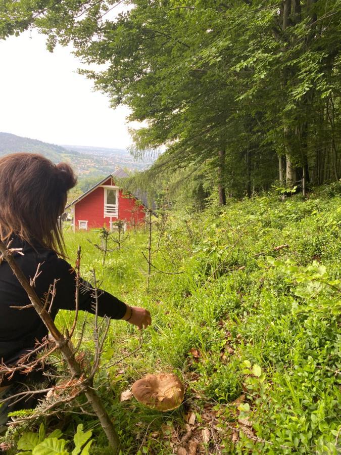 Forest House Targanice Buitenkant foto