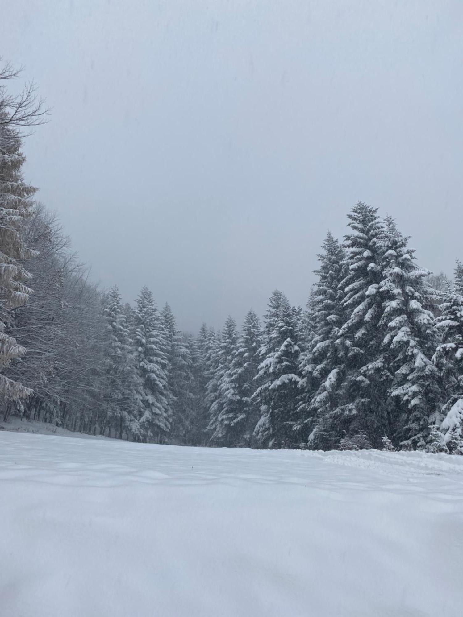 Forest House Targanice Buitenkant foto
