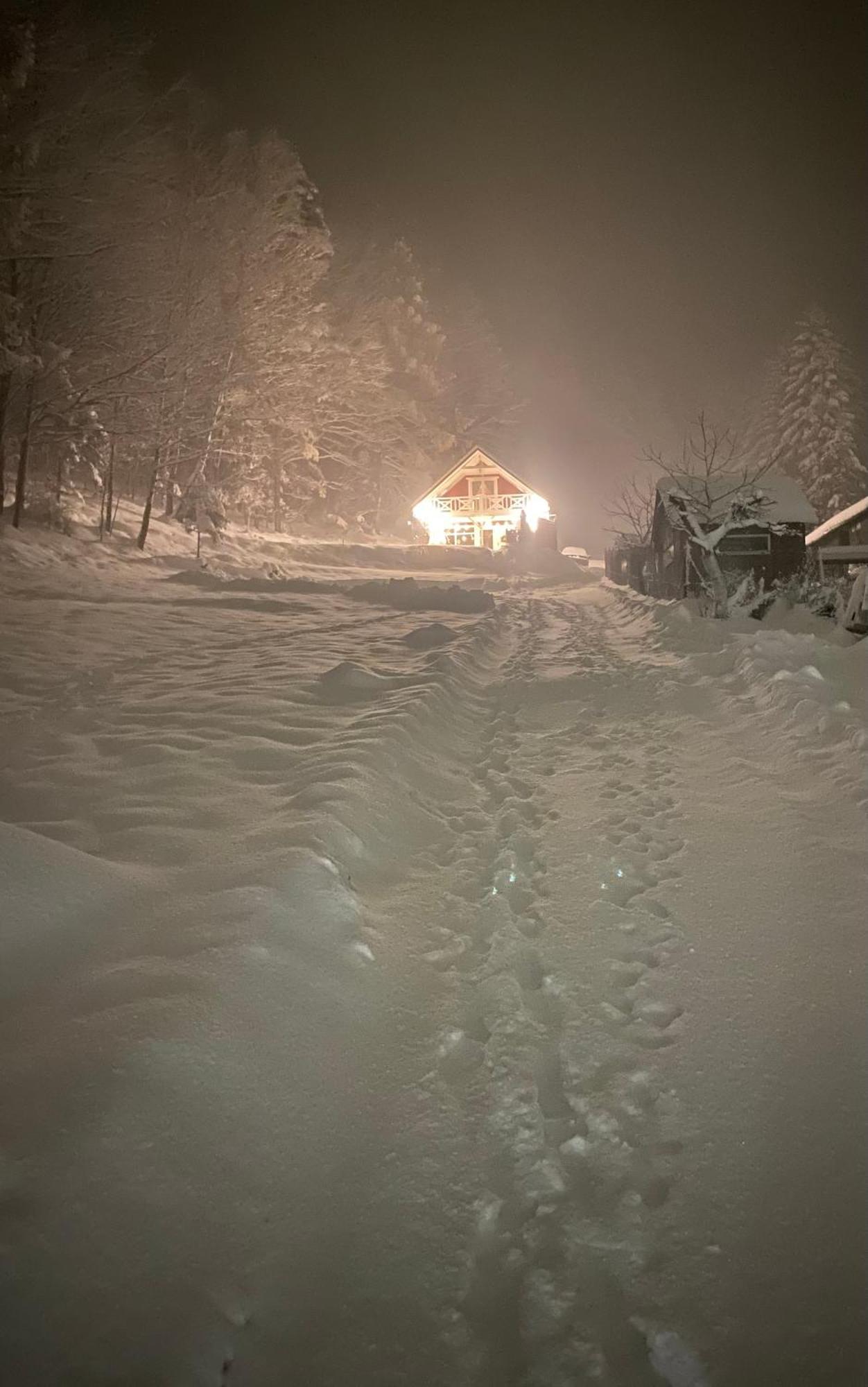 Forest House Targanice Buitenkant foto