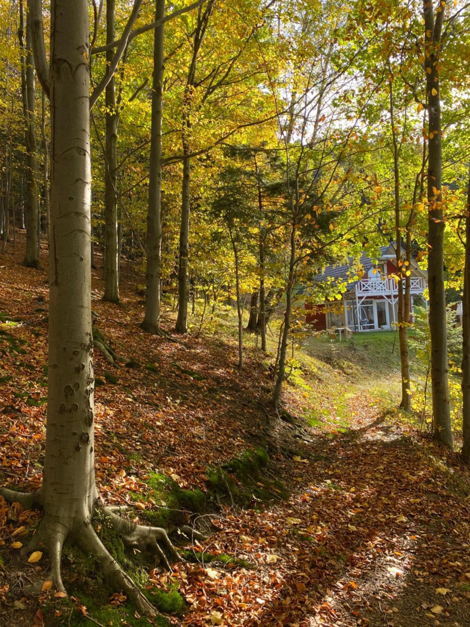 Forest House Targanice Buitenkant foto