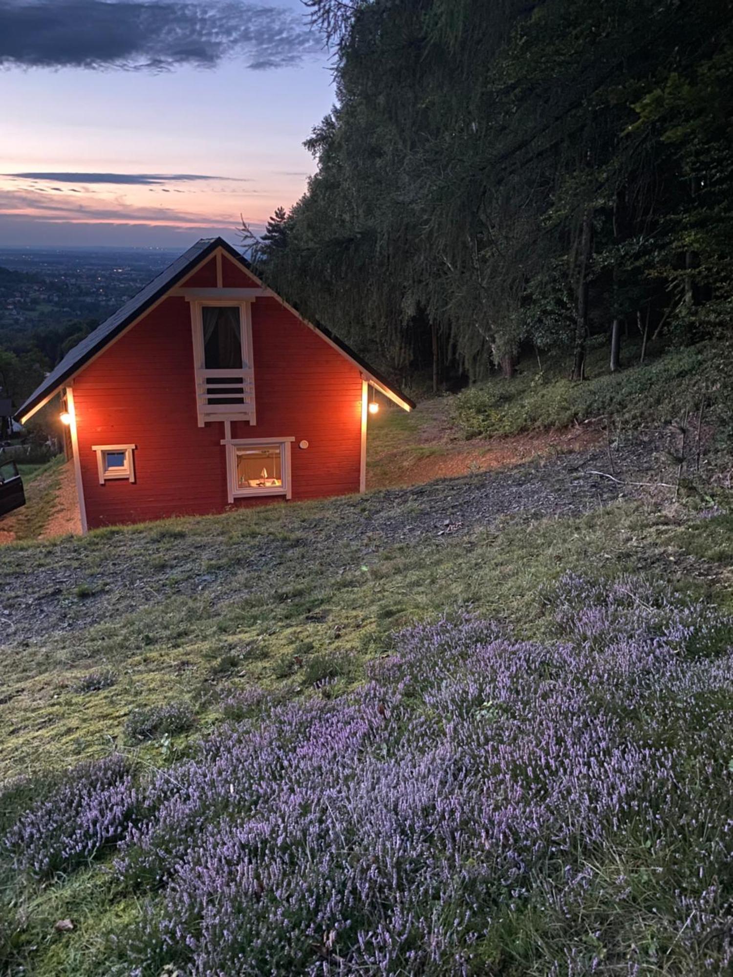 Forest House Targanice Buitenkant foto